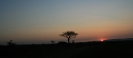 Alba al Parco Kruger - Sudafrica